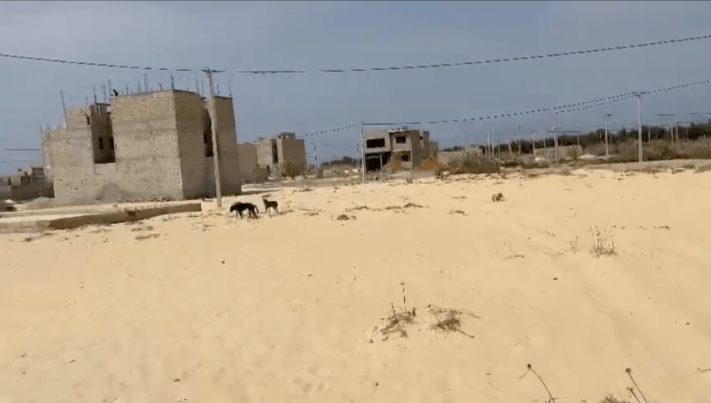2 terrains MALIKA PLAGE