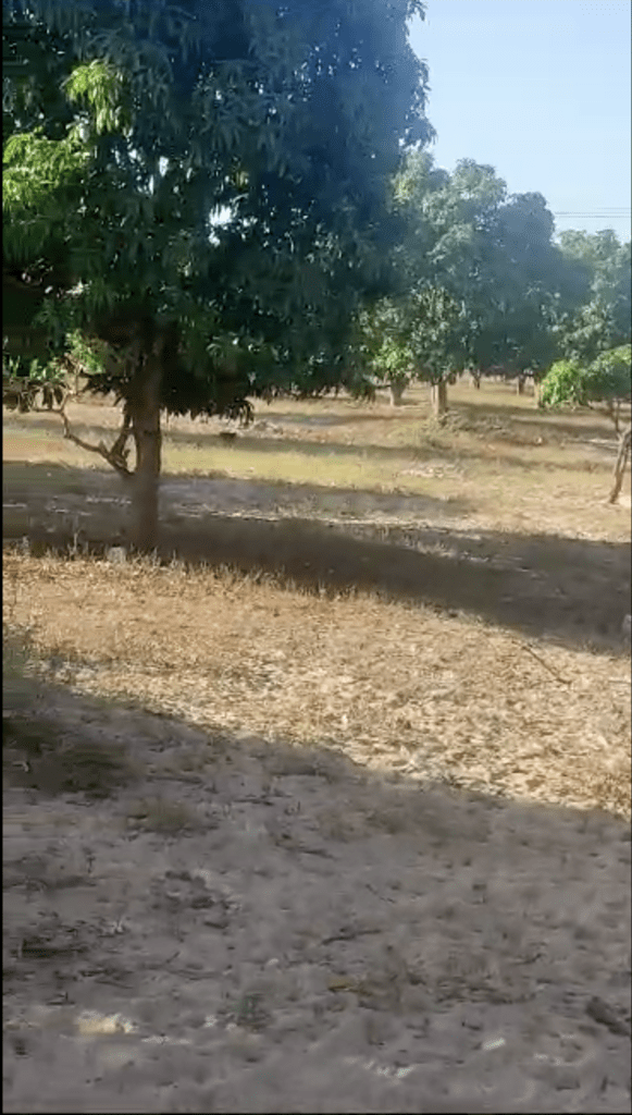 80 parcelles à BAYAKH GOLAM